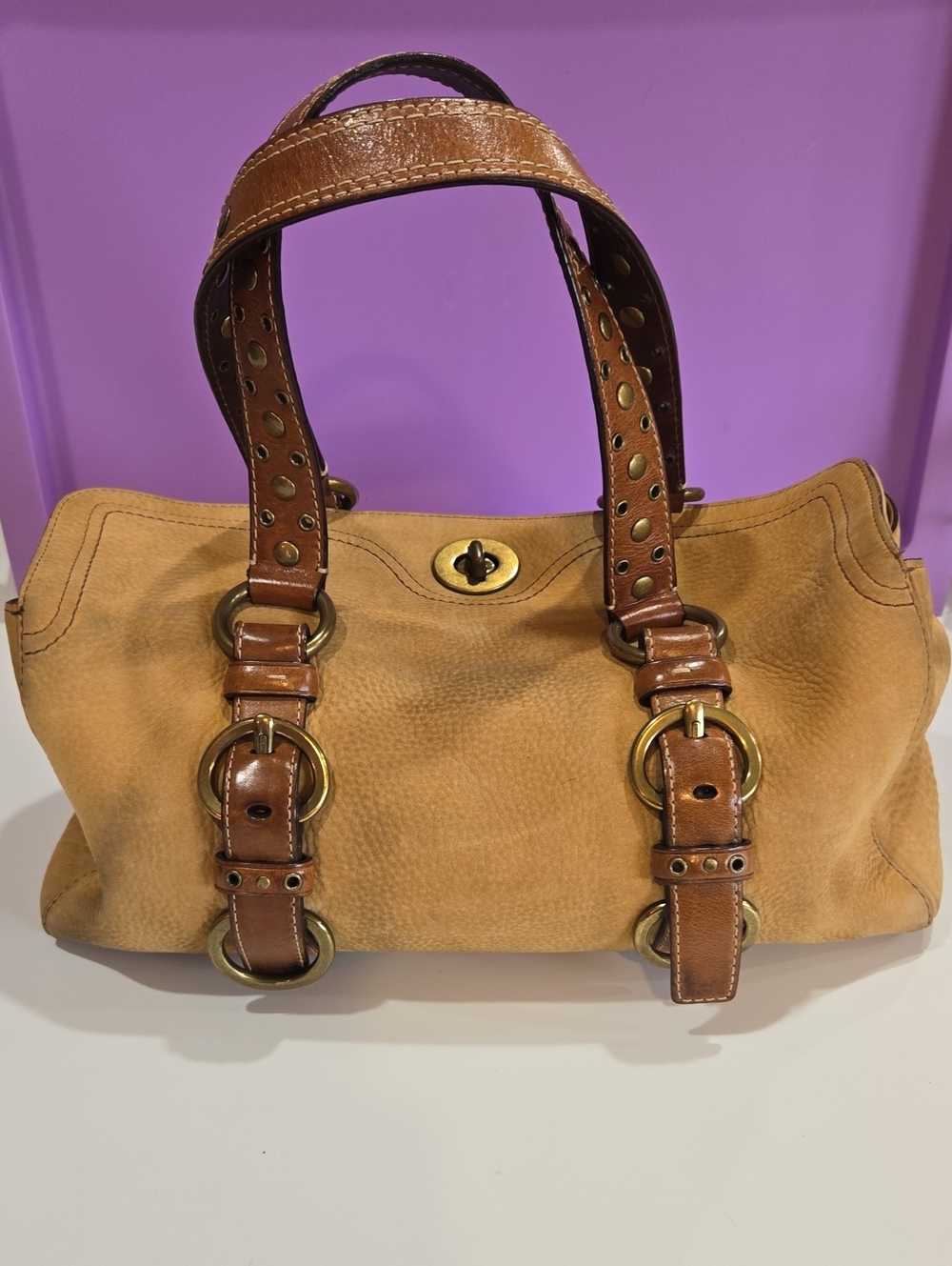 Coach Coach Chelsea Satchel in tan nubuck